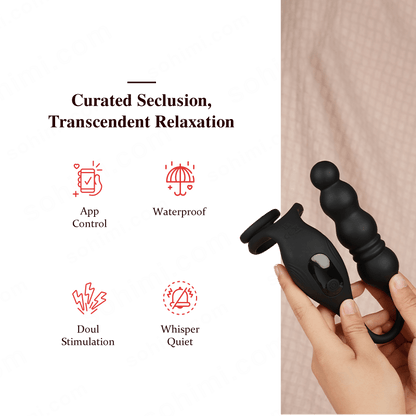 App-Controlled Thrusting Anal Plug