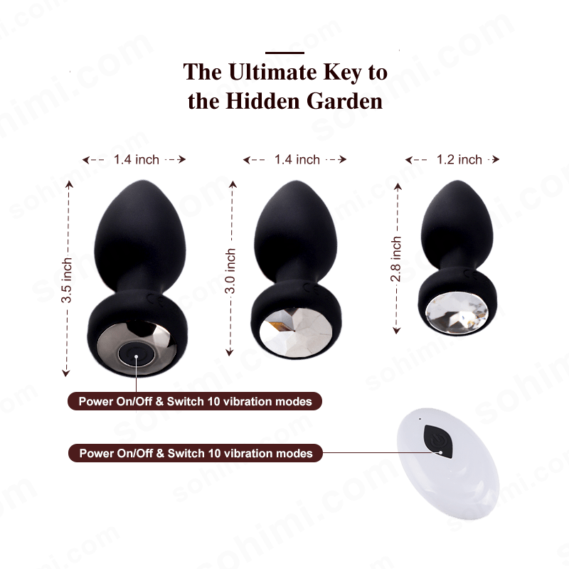 App-Controlled 3-Piece Anal Vibrator Set