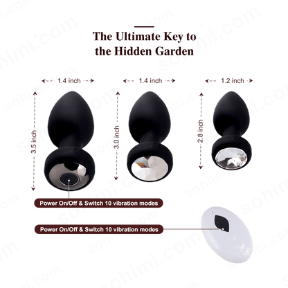 App-Controlled 3-Piece Anal Vibrator Set