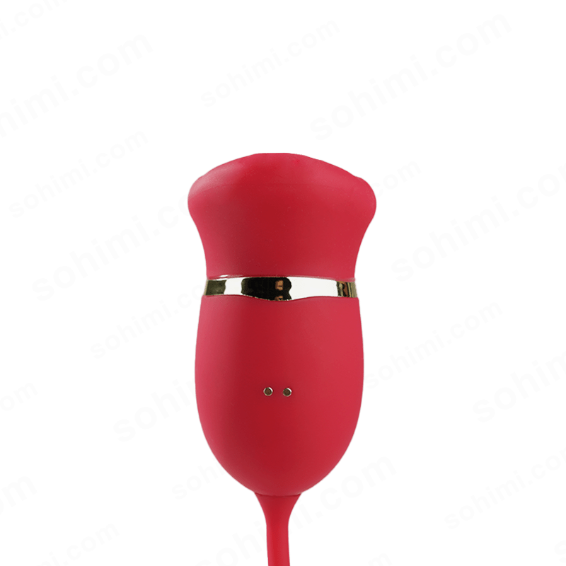 4-in-1 G-Spot & Clitoral Vibrator