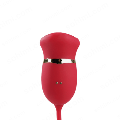 4-in-1 G-Spot & Clitoral Vibrator