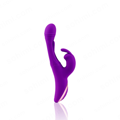3-in-1 Rabbit G-Spot Vibrator