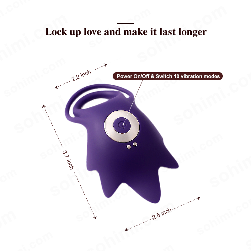 Vibrating Cock Ring with 10 Modes