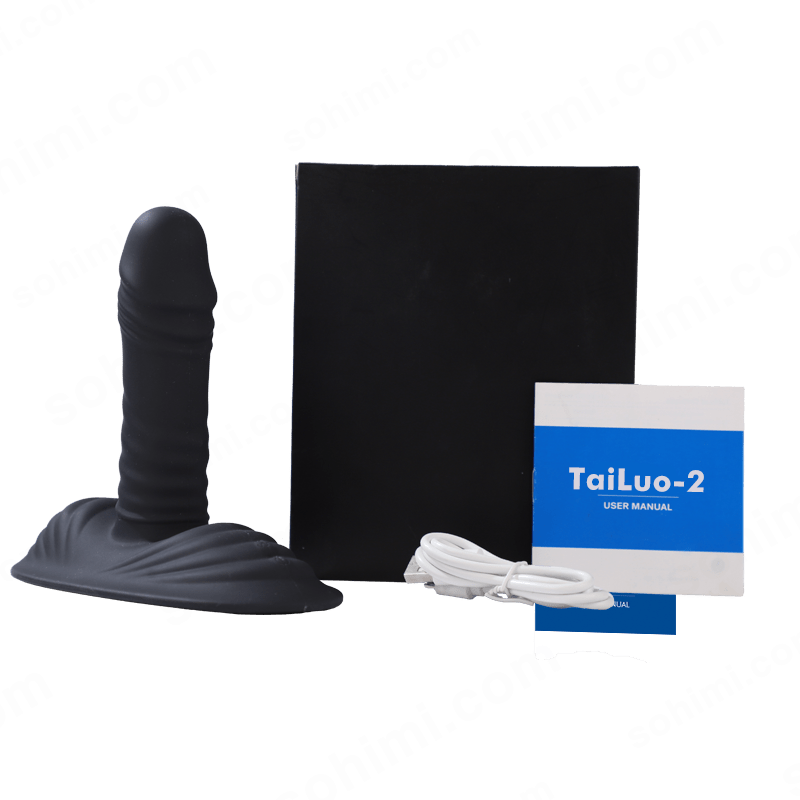 Dual-Motor Prostate Massager