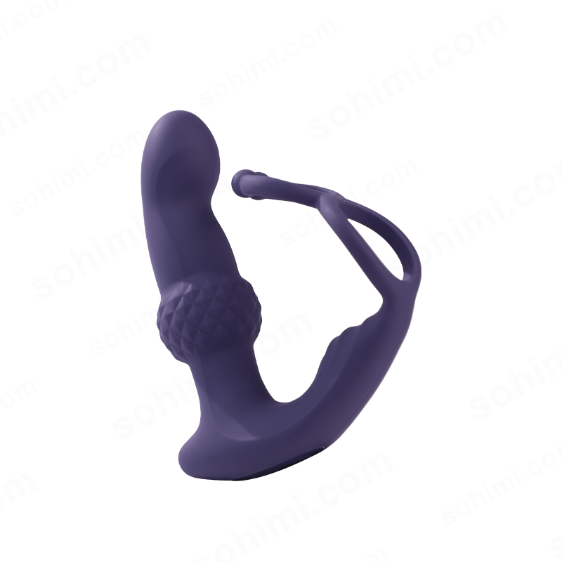 Remote-Control Wiggling Anal Vibrator