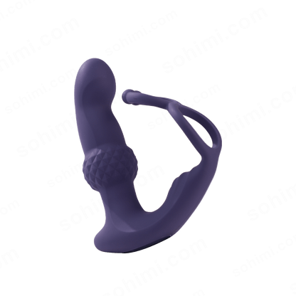 Remote-Control Wiggling Anal Vibrator
