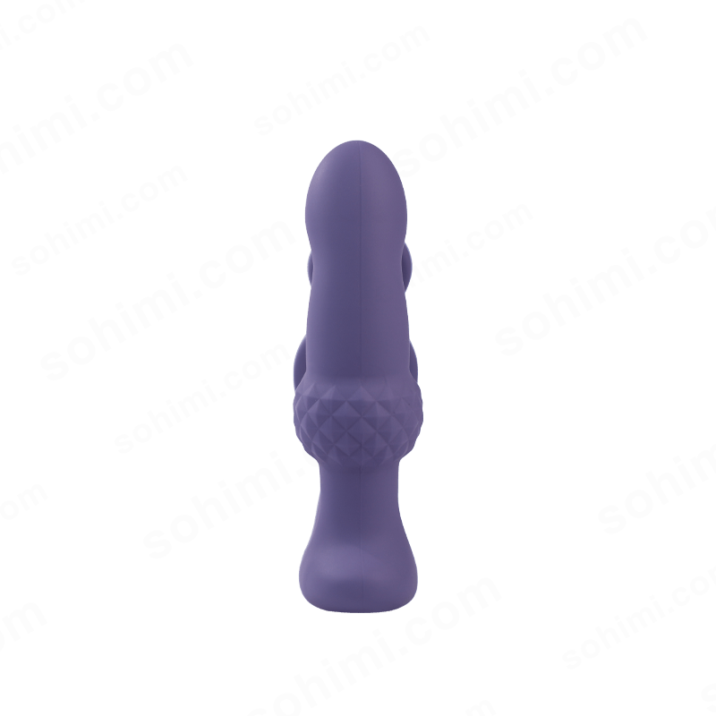 Remote-Control Wiggling Anal Vibrator