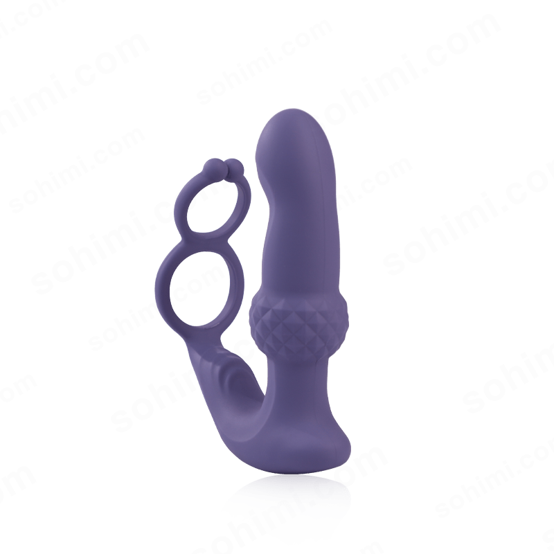 Remote-Control Wiggling Anal Vibrator