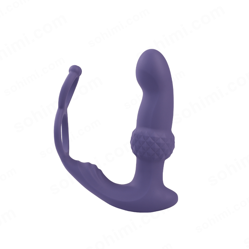 Remote-Control Wiggling Anal Vibrator