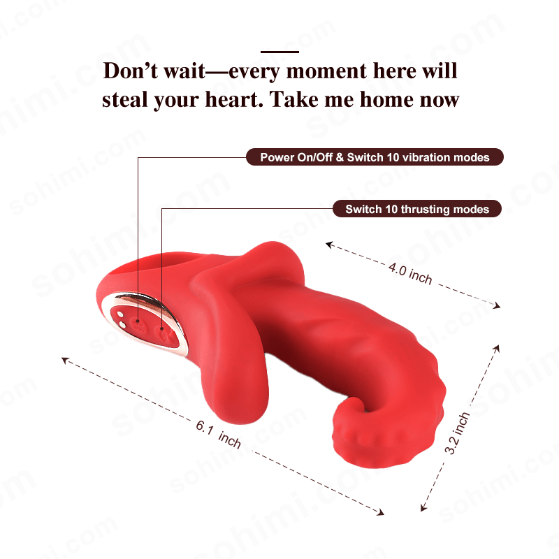 App-Controlled Thrusting G-Spot Vibrator