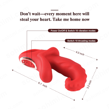 App-Controlled Thrusting G-Spot Vibrator