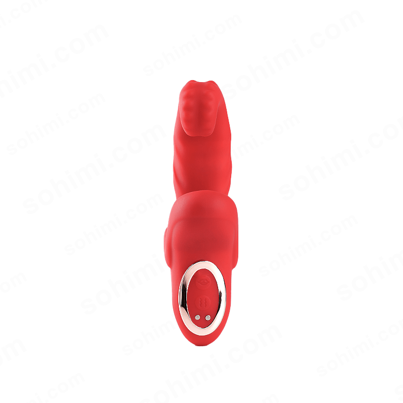App-Controlled Thrusting G-Spot Vibrator